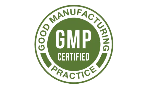 CognitiveFuel GMP Certified
